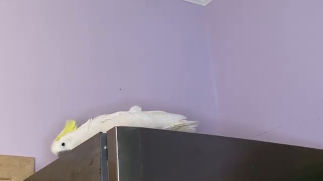 Как вы думаете, сколько мальчиков и сколько девочек у Терри?