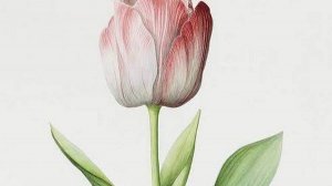 Лекция. Повышаем жизненную силу|Ли Холден  ( Lee Holden)