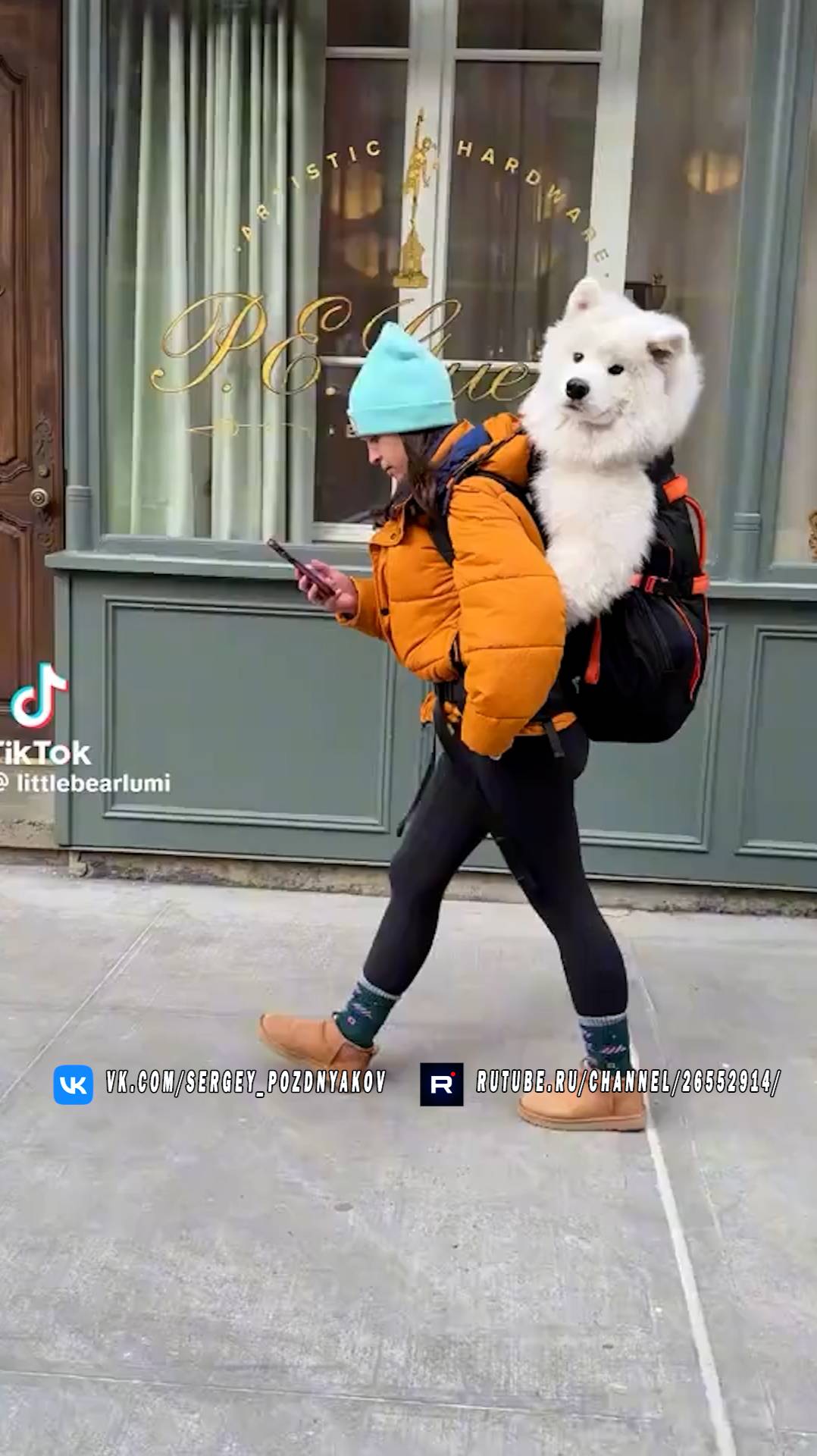 Большой и белый пушистик в рюкзаке смотреть онлайн