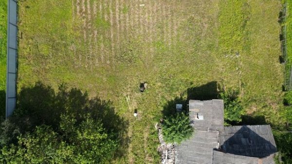 -5288964635889204975