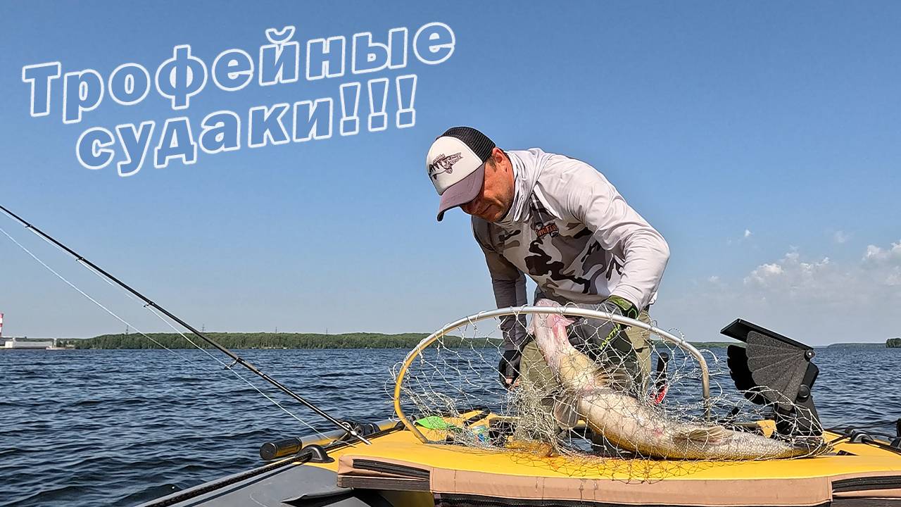 НУЖНО УМЕТЬ ИХ ИСКАТЬ!!! КАК ПОДОЙТИ К ТРОФЕЙНОЙ РЫБЕ? Рыбалка с Panoptix LiveScope System!!! смотреть онлайн