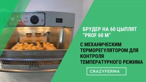 🐥 Видео-обзор брудера для цыплят "Prof 60 M" с механическим терморегулятором