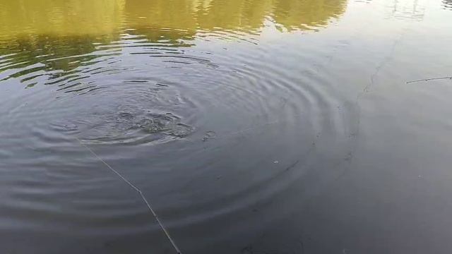 Карпевич смотреть онлайн