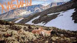 ХИБИНЫ июнь