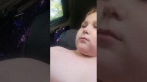 картонный дальнобойщик