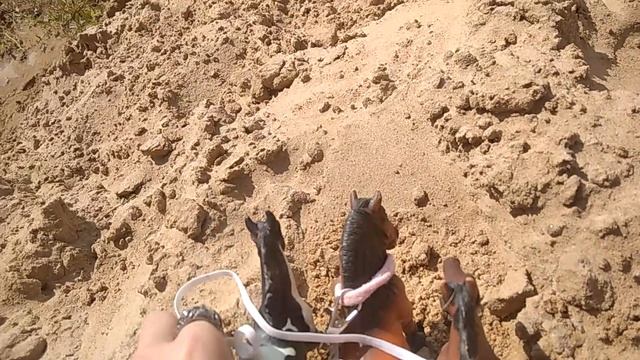 Третий день глазами вожака и арест