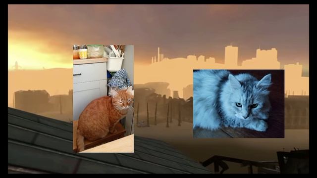 Шура и Дора смотреть онлайн