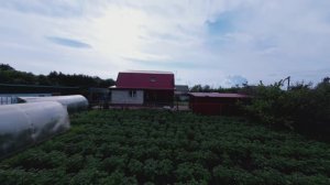 NEW продажа Дом Челябинская область, Еманжелинский район, п Зауральский, ул Живая Защита