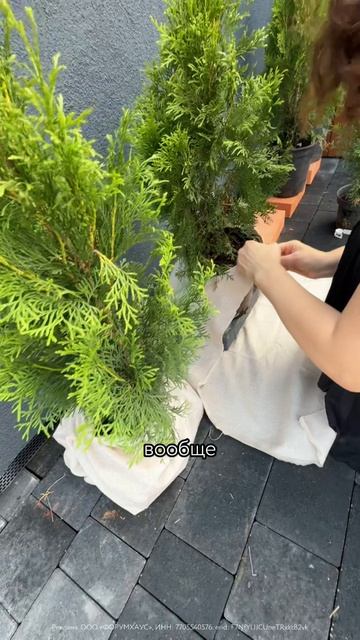 Лайфхак для сада с выставки OpenVillage 2025 // FORUMHOUSE смотреть онлайн