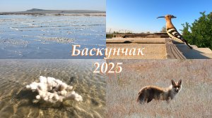 Озеро Баскунчак - что и где посмотреть, советы туристам, 2025 #баскунчак #соленоеозеро #baskunchak
