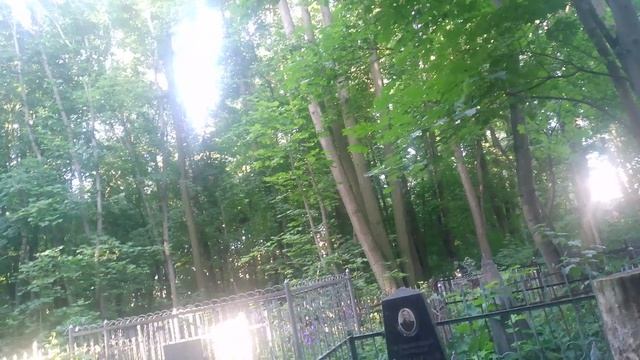 Князь Владимирское кладбище . смотреть онлайн