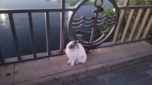 video_2025-07-11_08-47-08 (2)