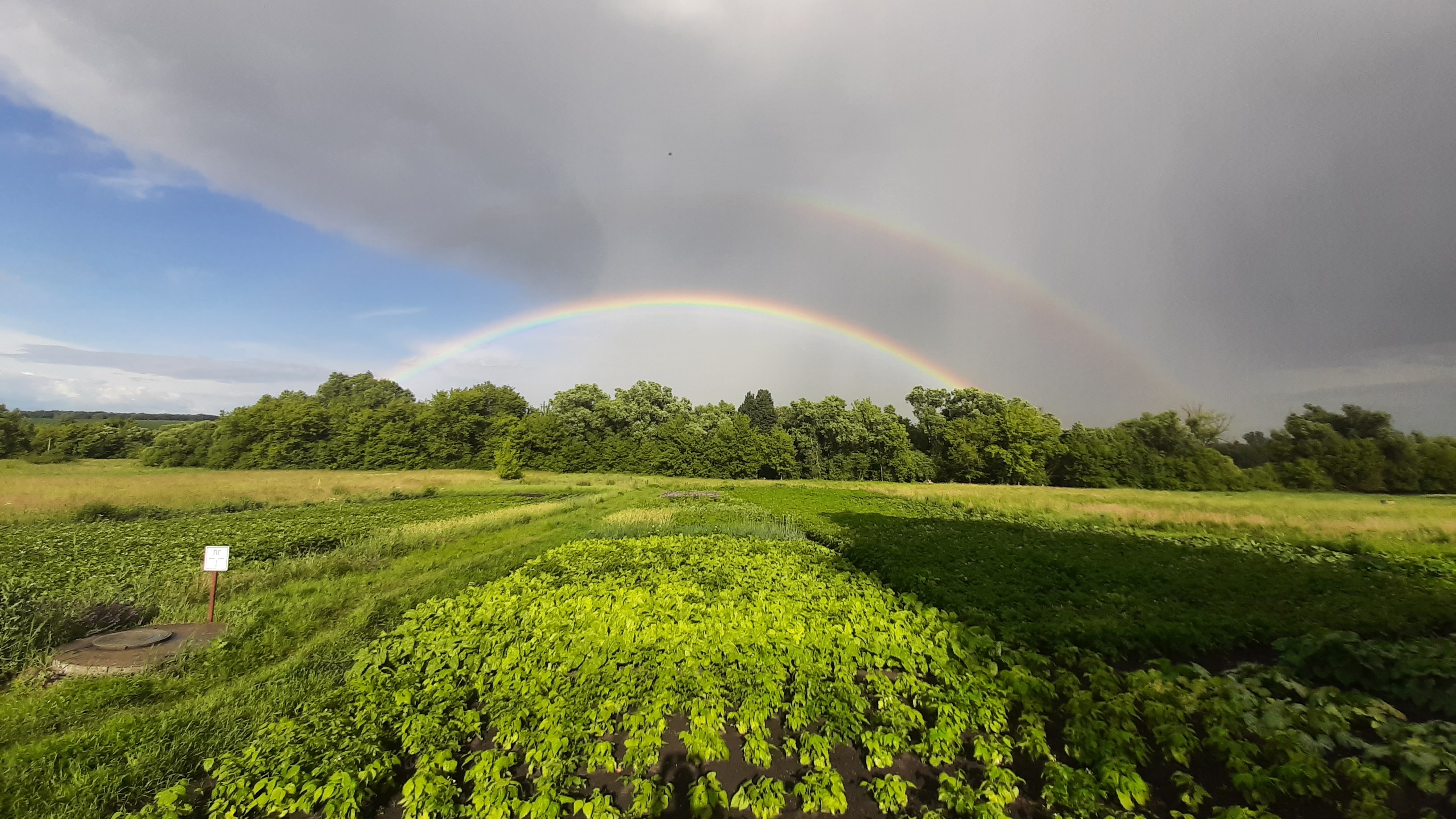 Влог 28.06- 08.07/Наши сельские будни/ Заметки юного блогера смотреть онлайн
