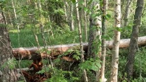 Рыбалка в мгновения между сплошными дождями #5