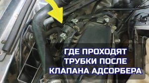 Куда где идут проходят трубки после клапана адсорбера Passat B5 Audi Skoda Octavia Superb AWT 1.8T