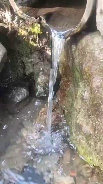 Родник в хуторе Ясном.