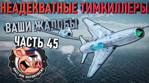 Неадекватные тимкиллеры и неадекваты в War Thunder  - Часть 45