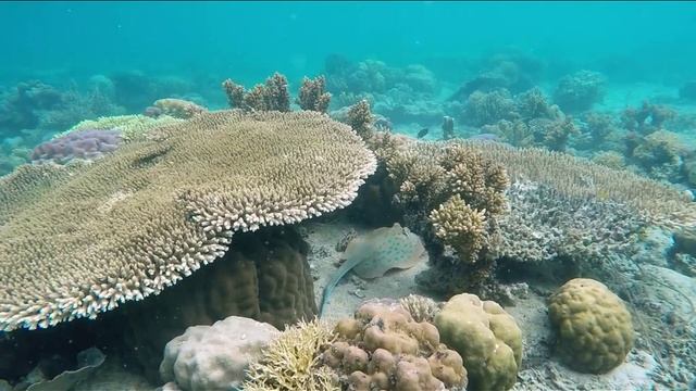 День рыбака смотреть онлайн