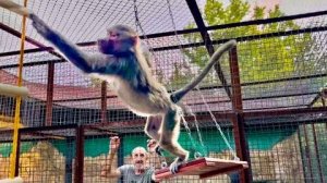 Люська самый УМНЫЙ ГАМАДРИЛ, она сразу сообразила, что к чему!