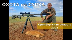 Охота на СУРКА 2025. Все выстрелы в кадре !!! Стреляем "НА ДАЛЕКО" !