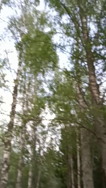 Парк в Хилово смотреть онлайн