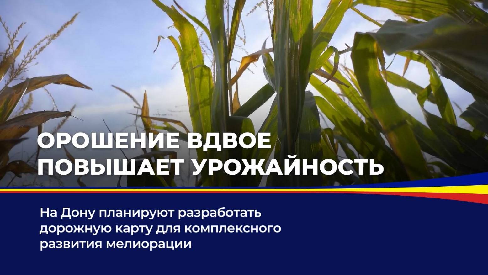 Орошение вдвое повышает урожайность смотреть онлайн