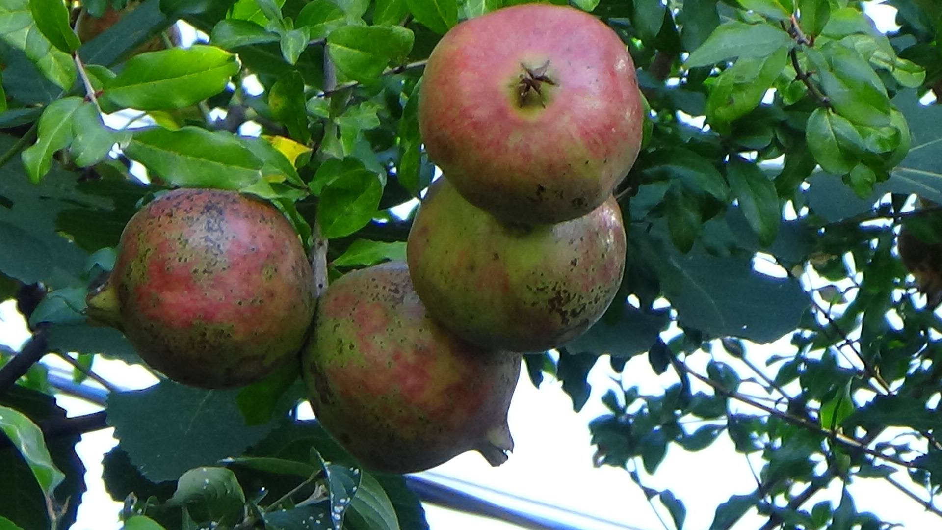 лазаревское куда сходить улица Малышева в Лазаревском
