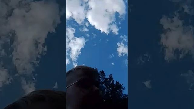 нас укусила кривизьяна ( 2 серия ) смотреть онлайн