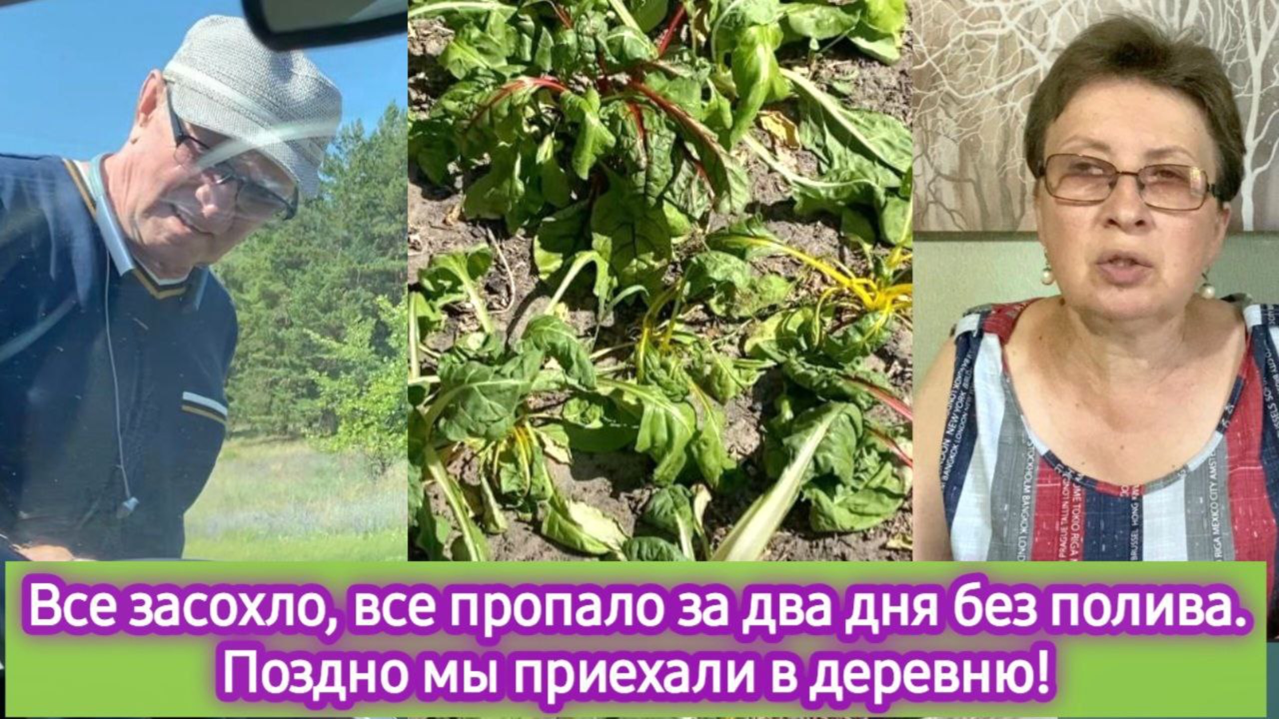 Все засохло и пропало за два дня без полива. Вернулись в деревню смотреть онлайн
