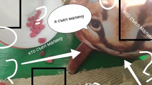 шлёпа съел мой горох часть 3
