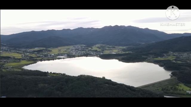 мы родились в Сибири//Моль на выдумки хитра//обзор канала смотреть онлайн