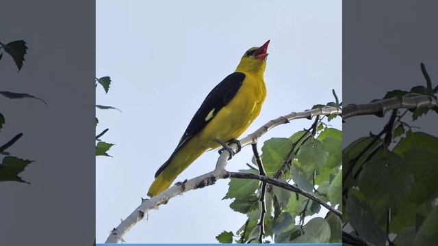 Это интересно-27