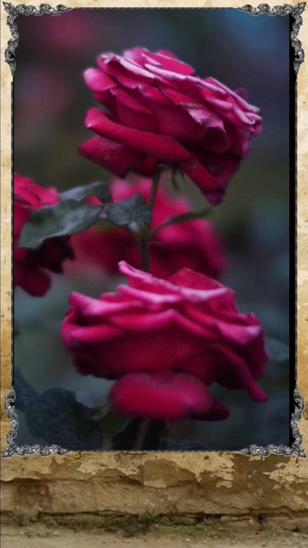 Те кто ... смотреть онлайн