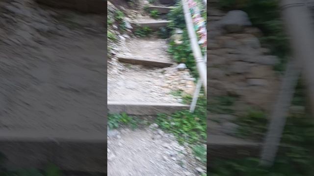 Абхазия. тарзанка