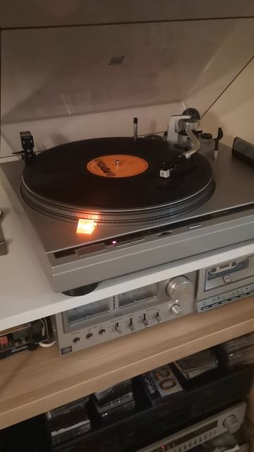 Танцуем с Neoton Familia