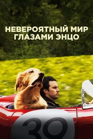 Невероятный мир глазами Энцо (2019)