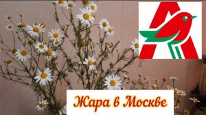 Покупки в АШАНЕ / Московская жара - страдают цветы.