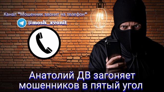 Анатолий ДВ загоняет мошенников в пятый угол смотреть онлайн