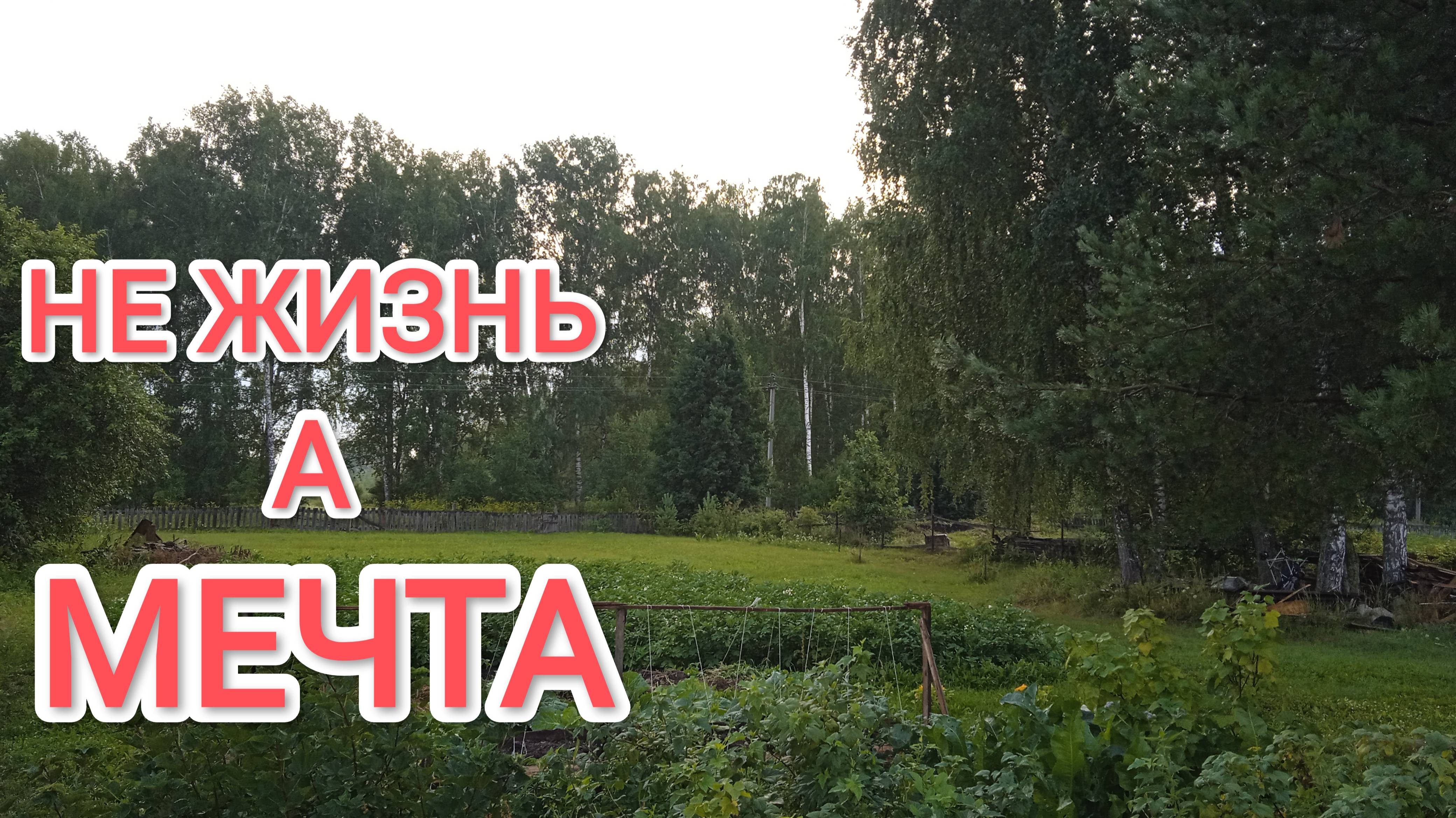 Жизнь в деревне Как живём чем дышим Итоги недели