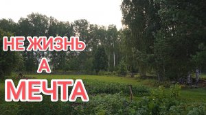 Жизнь в деревне Как живём чем дышим Итоги недели