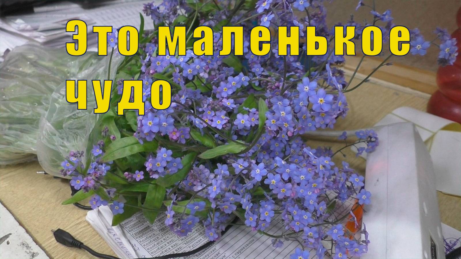 ЭТО НАСТОЯЩЕЕ ЧУДО/ УЧИМСЯ НА СВОИХ ОШИБКАХ /06 июля 2025 смотреть онлайн