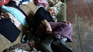 Спасаем Любовь Егоровну.