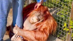 ПЕРВАЯ ВСТРЕЧА Даны и Олега Зубкова после случившегося!