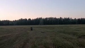 Мопеды сериал | Серия 542