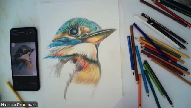 Птичка (цветные карандаши) смотреть онлайн