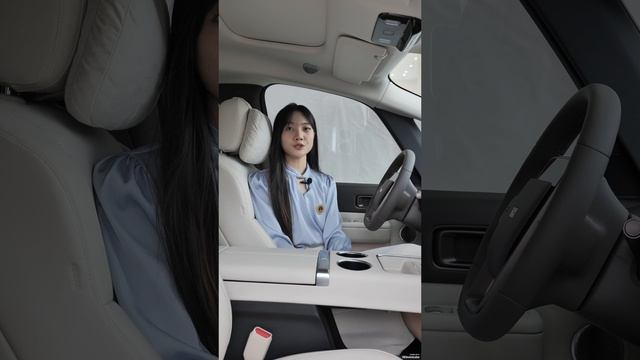 Инструкция LI Mega смотреть онлайн