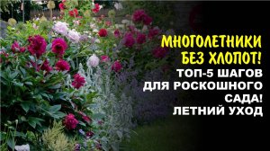 Почему ваши цветы не цветут? Главные ошибки и мой способ ухода за ними! Прекрасная Гузалия
