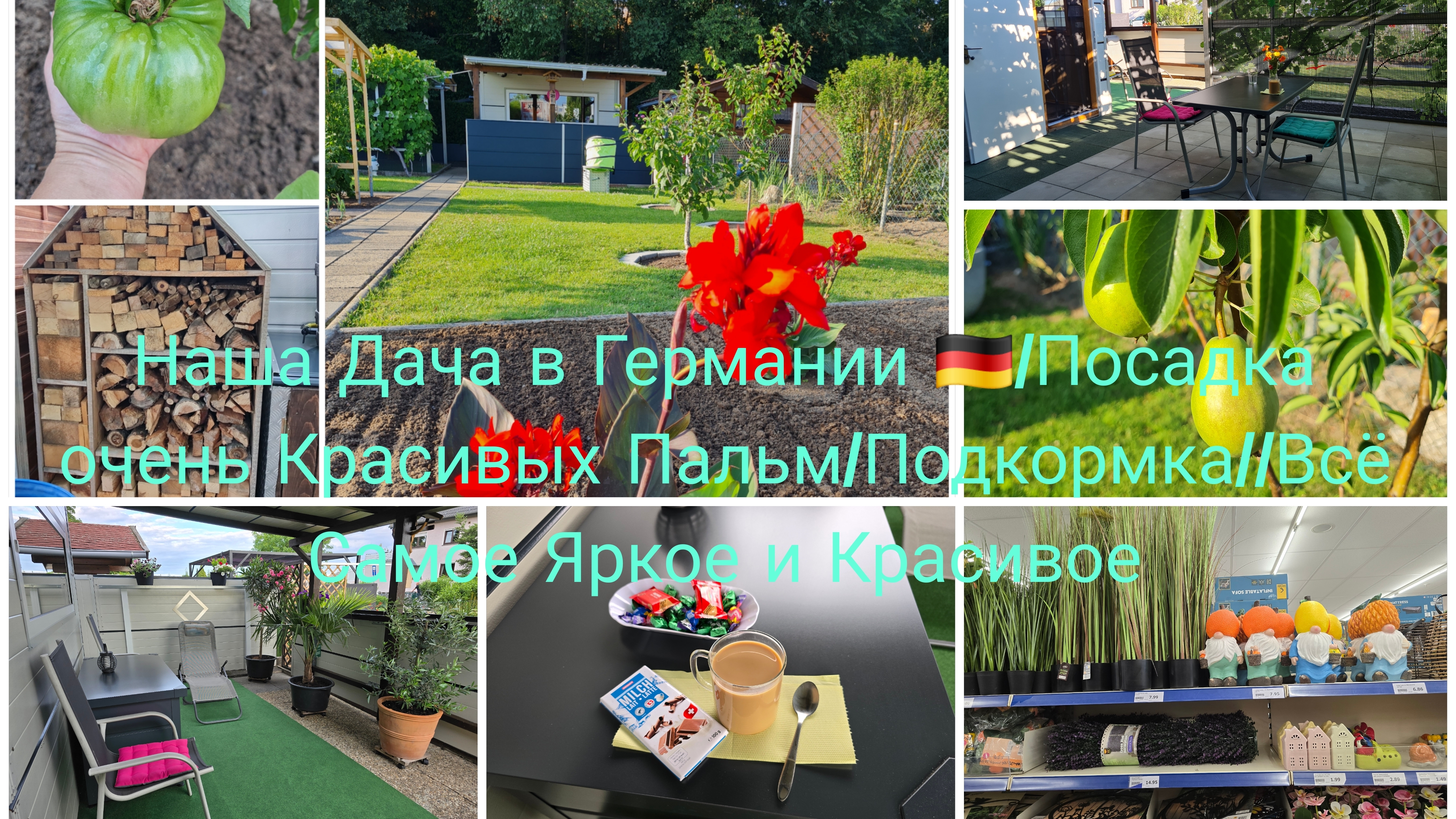 Что я Пакупаю в этом Магазине 🛍Action/Наша Дача в Германии 🇩🇪 А на Даче Всё Иначе 🏕Посадка смотреть онлайн