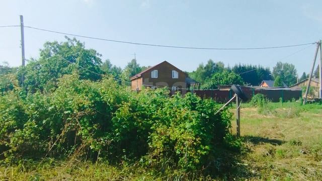 посёлок Тихорицы, улица Лесная смотреть онлайн