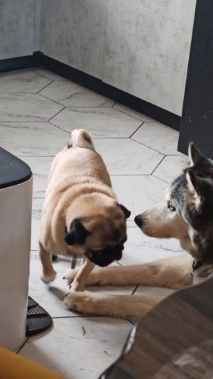 Влажные секретики